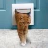 PetSafe Pet Doors Cat Flap Small (25-lb or Less) White Plastic Pet Door -Animal & Pet Care Online Shop 00681872