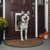 PetSafe Pet Doors Extreme Weather Pet Door Large (71- 90-lb) White Plastic Pet Door -Animal & Pet Care Online Shop 00682094