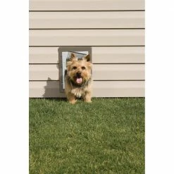 PetSafe Pet Doors Wall entry Small (25-lb or Less) White Plastic Wall Pet Door -Animal & Pet Care Online Shop 05482661