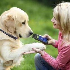 High Tech Pet Pet Training Batteries Bf-3v Lithium Manganese Oxide for Training Collar -Animal & Pet Care Online Shop 08870477