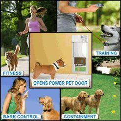 High Tech Pet Pet Training Collars Static; Tone; Vibration; Clicker Remote Trainer Pet Training Collar -Animal & Pet Care Online Shop 08888000