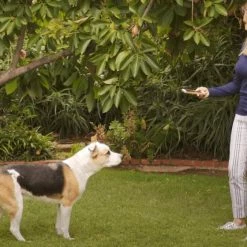 High Tech Pet Underground Pet Fences 0.33-Acre Static Underground Pet Fence -Animal & Pet Care Online Shop 08888036