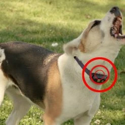 High Tech Pet Underground Pet Fences 0.33-Acre Static Underground Pet Fence -Animal & Pet Care Online Shop 08888042