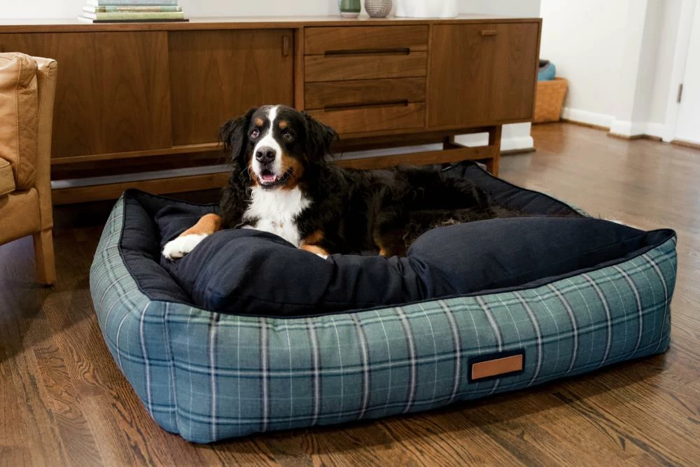 The Houndry Pet Beds Peacock Pooch Sunbrella Acrylic Fabric Rectangular 30-in x 25-in Dog Bed (For Medium) 5 The Houndry Pet Beds Peacock Pooch Sunbrella Acrylic Fabric Rectangular 30-in x 25-in Dog Bed (For Medium) - Image 3