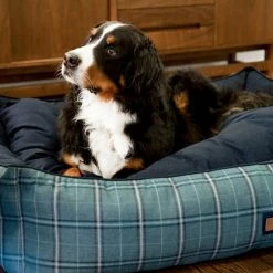 The Houndry Pet Beds Peacock Pooch Sunbrella Acrylic Fabric Rectangular 30-in x 25-in Dog Bed (For Medium) 10 The Houndry Pet Beds Peacock Pooch Sunbrella Acrylic Fabric Rectangular 30-in x 25-in Dog Bed (For Medium) -Animal & Pet Care Online Shop 11170052