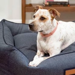 The Houndry Pet Beds Navy Newfie Sunbrella Acrylic Fabric Rectangular 44-in x 36-in Dog Bed (For Large) -Animal & Pet Care Online Shop 11170163