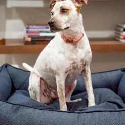 The Houndry Pet Beds Navy Newfie Sunbrella Acrylic Fabric Rectangular 38-in x 25-in Dog Bed (For Large) -Animal & Pet Care Online Shop 11170189