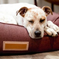 The Houndry Pet Beds Russett Rover Sunbrella Acrylic Fabric Rectangular 44-in x 36-in Dog Bed (For Large) -Animal & Pet Care Online Shop 11170204