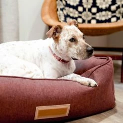 The Houndry Pet Beds Russett Rover Sunbrella Acrylic Fabric Rectangular 44-in x 36-in Dog Bed (For Large) -Animal & Pet Care Online Shop 11170206