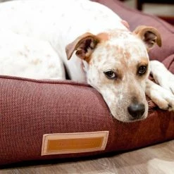 The Houndry Pet Beds Russett Rover Sunbrella Acrylic Fabric Rectangular 44-in x 36-in Dog Bed (For Large) -Animal & Pet Care Online Shop 11170207