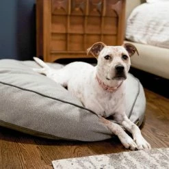 The Houndry Pet Beds Foggy Feline Sunbrella Acrylic Fabric Round 24-in x 24-in Dog Bed (For Small) -Animal & Pet Care Online Shop 11170263