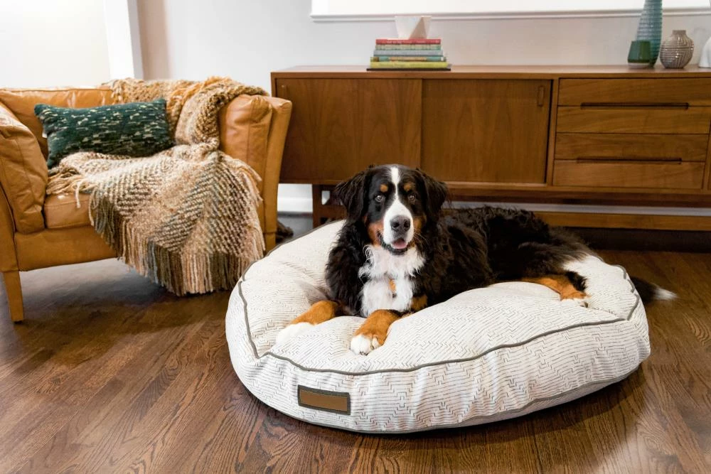 The Houndry Pet Beds Fetching Fern Sunbrella Acrylic Fabric Round 24-in x 24-in Dog Bed (For Small) 4 The Houndry Pet Beds Fetching Fern Sunbrella Acrylic Fabric Round 24-in x 24-in Dog Bed (For Small) - Image 2