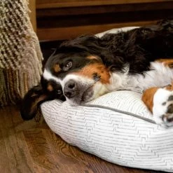 The Houndry Pet Beds Fetching Fern Sunbrella Acrylic Fabric Round 24-in x 24-in Dog Bed (For Small) 8 The Houndry Pet Beds Fetching Fern Sunbrella Acrylic Fabric Round 24-in x 24-in Dog Bed (For Small) -Animal & Pet Care Online Shop 11170454