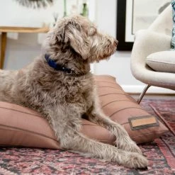 The Houndry Pet Beds Blushing Basset Sunbrella Acrylic Fabric Rectangular 25-in x 25-in Dog Bed (For Small) -Animal & Pet Care Online Shop 11170566