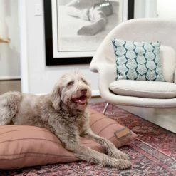 The Houndry Pet Beds Blushing Basset Sunbrella Acrylic Fabric Rectangular 25-in x 25-in Dog Bed (For Small) -Animal & Pet Care Online Shop 11170567