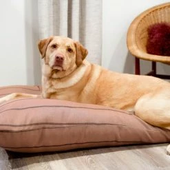 The Houndry Pet Beds Blushing Basset Sunbrella Acrylic Fabric Rectangular 25-in x 25-in Dog Bed (For Small) -Animal & Pet Care Online Shop 11170568