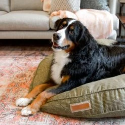 The Houndry Pet Beds Mossy Mutt Sunbrella Acrylic Fabric Round 41-in x 41-in Dog Bed (For Large) 8 The Houndry Pet Beds Mossy Mutt Sunbrella Acrylic Fabric Round 41-in x 41-in Dog Bed (For Large) -Animal & Pet Care Online Shop 11170581