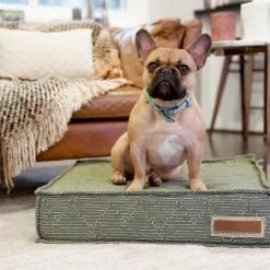 The Houndry Pet Beds Mossy Mutt Sunbrella Acrylic Fabric Rectangular 42-in x 30-in Dog Bed (For Large) -Animal & Pet Care Online Shop 11170667