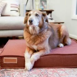 The Houndry Pet Beds Russett Rover Sunbrella Acrylic Fabric Rectangular 42-in x 31-in Dog Bed (For Large) -Animal & Pet Care Online Shop 11170700
