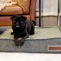 The Houndry Pet Beds Mossy Mutt Sunbrella Acrylic Fabric Rectangular 28-in x 28-in Dog Bed (For Large) -Animal & Pet Care Online Shop 11170717