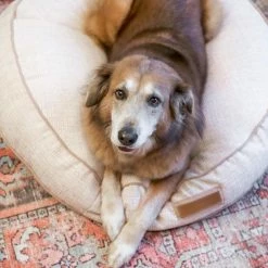 The Houndry Pet Beds Puppy Belly Pink Sunbrella Acrylic Fabric Round 41-in x 41-in Dog Bed (For Large) -Animal & Pet Care Online Shop 11170746