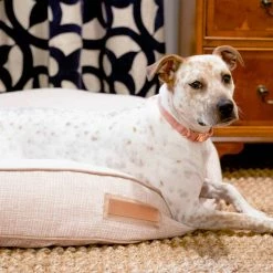 The Houndry Pet Beds Puppy Belly Pink Sunbrella Acrylic Fabric Round 41-in x 41-in Dog Bed (For Large) -Animal & Pet Care Online Shop 11170747