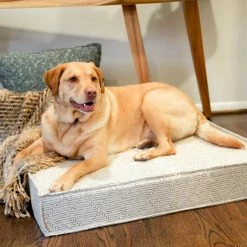 The Houndry Pet Beds Fetching Fern Sunbrella Acrylic Fabric Rectangular 28-in x 28-in Dog Bed (For Large) -Animal & Pet Care Online Shop 11170753