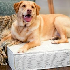 The Houndry Pet Beds Fetching Fern Sunbrella Acrylic Fabric Rectangular 28-in x 28-in Dog Bed (For Large) -Animal & Pet Care Online Shop 11170754