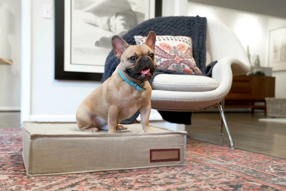 The Houndry Pet Beds Hazy Herder Sunbrella Acrylic Fabric Rectangular 22.5-in x 22.5-in Dog Bed (For Small) 5 The Houndry Pet Beds Hazy Herder Sunbrella Acrylic Fabric Rectangular 22.5-in x 22.5-in Dog Bed (For Small) - Image 3