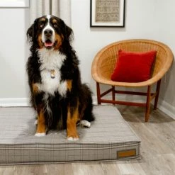 The Houndry Pet Beds Grey Hound Sunbrella Acrylic Fabric Rectangular 28-in x 28-in Dog Bed (For Medium) -Animal & Pet Care Online Shop 11170904