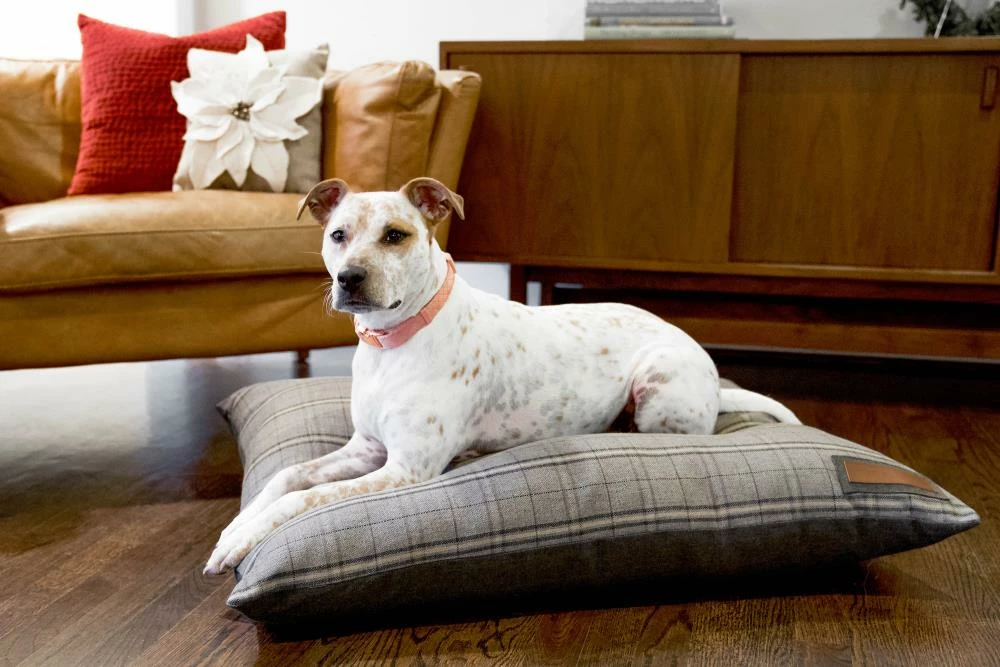 The Houndry Pet Beds Grey Hound Sunbrella Acrylic Fabric Rectangular 38-in x 29-in Dog Bed (For Medium) 5 The Houndry Pet Beds Grey Hound Sunbrella Acrylic Fabric Rectangular 38-in x 29-in Dog Bed (For Medium) - Image 3