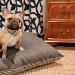 The Houndry Pet Beds Grey Hound Sunbrella Acrylic Fabric Rectangular 38-in x 29-in Dog Bed (For Medium) 12 The Houndry Pet Beds Grey Hound Sunbrella Acrylic Fabric Rectangular 38-in x 29-in Dog Bed (For Medium) -Animal & Pet Care Online Shop 11170912