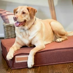 The Houndry Pet Beds Russett Rover Sunbrella Acrylic Fabric Rectangular 48-in x 36-in Dog Bed (For Large) -Animal & Pet Care Online Shop 11170965