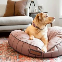 The Houndry Pet Beds Blushing Basset Sunbrella Acrylic Fabric Round 41-in x 41-in Dog Bed (For Large) 7 The Houndry Pet Beds Blushing Basset Sunbrella Acrylic Fabric Round 41-in x 41-in Dog Bed (For Large) -Animal & Pet Care Online Shop 11171032