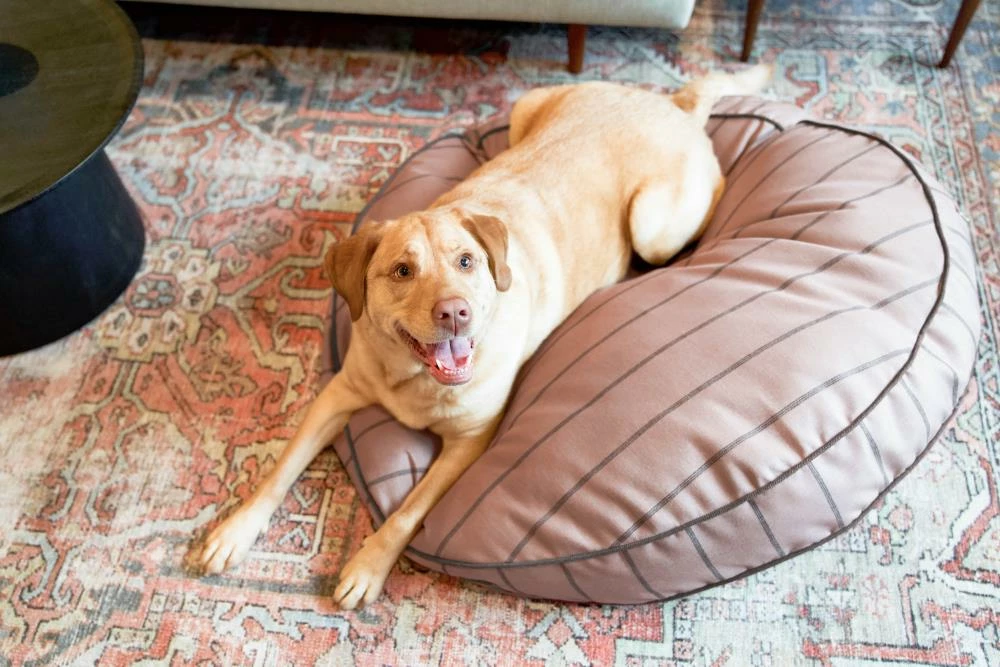 The Houndry Pet Beds Blushing Basset Sunbrella Acrylic Fabric Round 41-in x 41-in Dog Bed (For Large) 5 The Houndry Pet Beds Blushing Basset Sunbrella Acrylic Fabric Round 41-in x 41-in Dog Bed (For Large) - Image 3