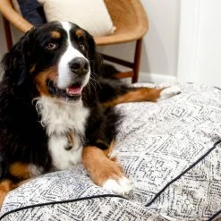 The Houndry Pet Beds Sapphire Spaniel Sunbrella Acrylic Fabric Round 24-in x 24-in Dog Bed (For Small) -Animal & Pet Care Online Shop 11171054