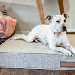 The Houndry Pet Beds Foggy Feline Sunbrella Acrylic Fabric Rectangular 48-in x 36-in Dog Bed (For Large) 9 The Houndry Pet Beds Foggy Feline Sunbrella Acrylic Fabric Rectangular 48-in x 36-in Dog Bed (For Large) -Animal & Pet Care Online Shop 11171067