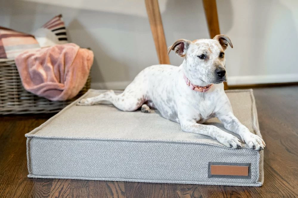 The Houndry Pet Beds Foggy Feline Sunbrella Acrylic Fabric Rectangular 48-in x 36-in Dog Bed (For Large) 5 The Houndry Pet Beds Foggy Feline Sunbrella Acrylic Fabric Rectangular 48-in x 36-in Dog Bed (For Large) - Image 3