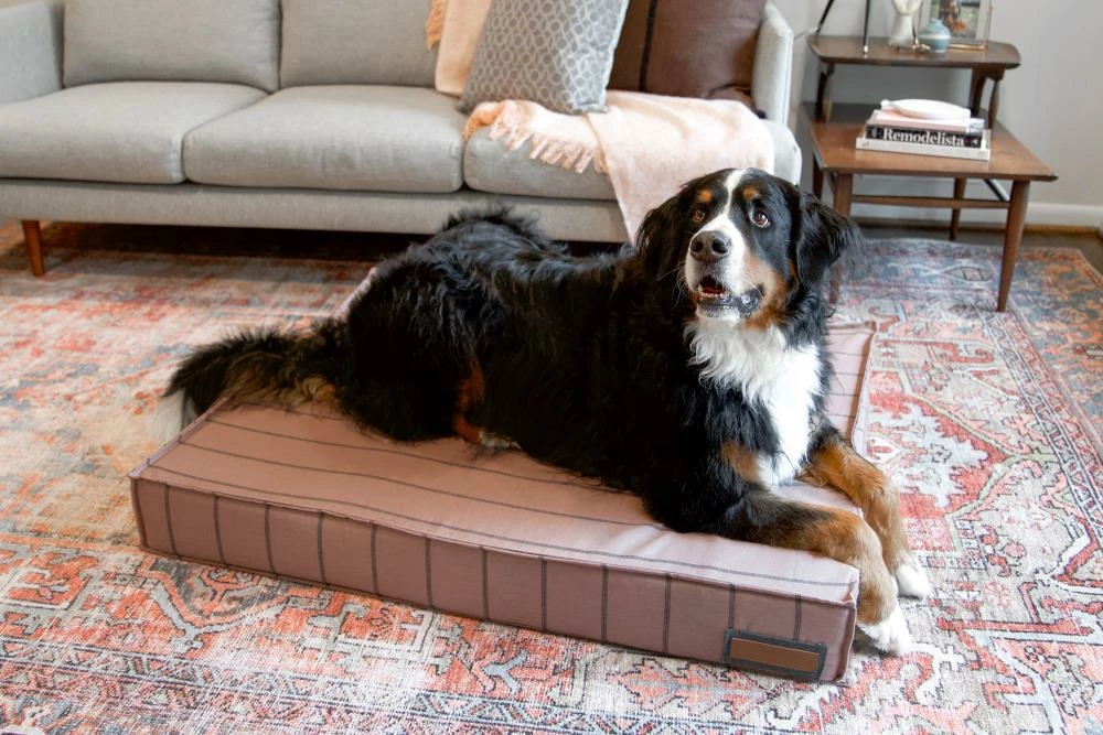 The Houndry Pet Beds Blushing Basset Sunbrella Acrylic Fabric Rectangular 22.5-in x 22.5-in Dog Bed (For Small) 5 The Houndry Pet Beds Blushing Basset Sunbrella Acrylic Fabric Rectangular 22.5-in x 22.5-in Dog Bed (For Small) - Image 3