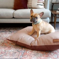 The Houndry Pet Beds Rosie Retriever Sunbrella Acrylic Fabric Rectangular 25-in x 25-in Dog Bed (For Small) -Animal & Pet Care Online Shop 11171104