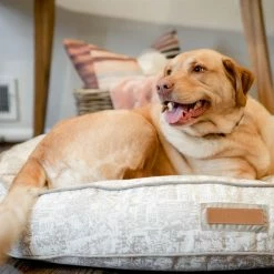 The Houndry Pet Beds Country Chase Sunbrella Acrylic Fabric Round 41-in x 41-in Dog Bed (For Large) -Animal & Pet Care Online Shop 11171201