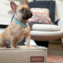 The Houndry Pet Beds Hazy Herder Sunbrella Acrylic Fabric Rectangular 48-in x 36-in Dog Bed (For Large) -Animal & Pet Care Online Shop 11171230