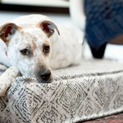 The Houndry Pet Beds Sapphire Spaniel Sunbrella Acrylic Fabric Rectangular 22.5-in x 22.5-in Dog Bed (For Small) -Animal & Pet Care Online Shop 11171268