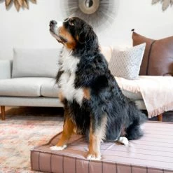 The Houndry Pet Beds Blushing Basset Sunbrella Acrylic Fabric Rectangular 47-in x 36-in Dog Bed (For Large) -Animal & Pet Care Online Shop 11171320