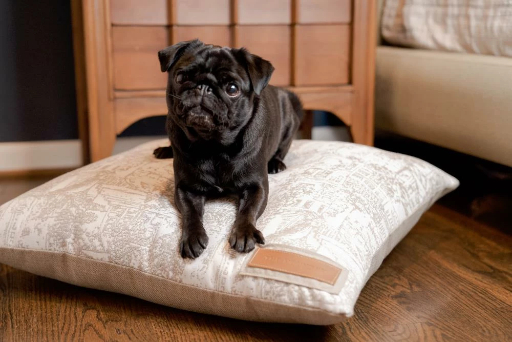 The Houndry Pet Beds Country Chase Sunbrella Acrylic Fabric Rectangular 47-in x 37-in Dog Bed (For Large) 6 The Houndry Pet Beds Country Chase Sunbrella Acrylic Fabric Rectangular 47-in x 37-in Dog Bed (For Large) - Image 4