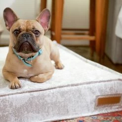 The Houndry Pet Beds Country Chase Sunbrella Acrylic Fabric Rectangular 28-in x 28-in Dog Bed (For Medium) 10 The Houndry Pet Beds Country Chase Sunbrella Acrylic Fabric Rectangular 28-in x 28-in Dog Bed (For Medium) -Animal & Pet Care Online Shop 11171441