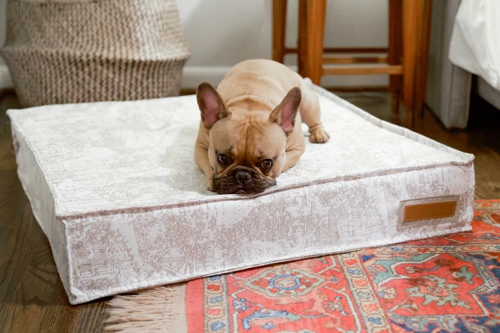 The Houndry Pet Beds Country Chase Sunbrella Acrylic Fabric Rectangular 28-in x 28-in Dog Bed (For Medium) 6 The Houndry Pet Beds Country Chase Sunbrella Acrylic Fabric Rectangular 28-in x 28-in Dog Bed (For Medium) - Image 4