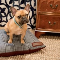 The Houndry Pet Beds Russett Rover Sunbrella Acrylic Fabric Rectangular 47-in x 37-in Dog Bed (For Large) -Animal & Pet Care Online Shop 11171499