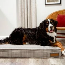 The Houndry Pet Beds Grey Hound Sunbrella Acrylic Fabric Rectangular 22.5-in x 22.5-in Dog Bed (For Small) -Animal & Pet Care Online Shop 11171529