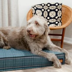 The Houndry Pet Beds Peacock Pooch Sunbrella Acrylic Fabric Rectangular 22-in x 22-in Dog Bed (For Small) -Animal & Pet Care Online Shop 11171606